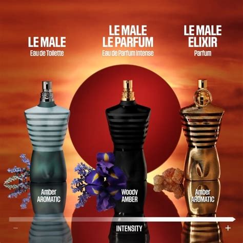 jean paul gaultier le male superdrug.